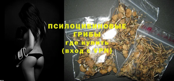 ПСИЛОЦИБИНОВЫЕ ГРИБЫ Алексеевка