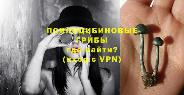 ПСИЛОЦИБИНОВЫЕ ГРИБЫ Алексеевка