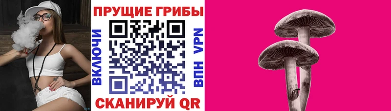 Псилоцибиновые грибы GOLDEN TEACHER  Купить  Апшеронск 