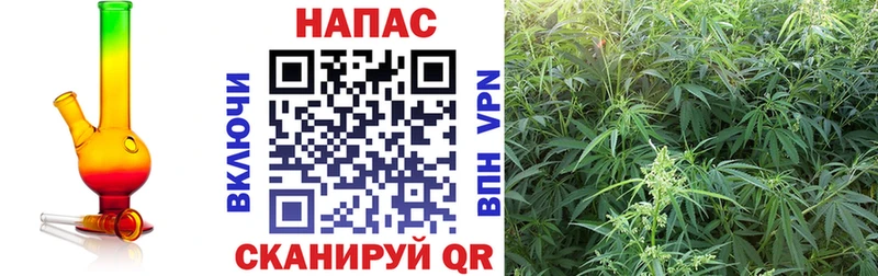 Купить закладки  Апшеронск  Бошки Шишки планчик 